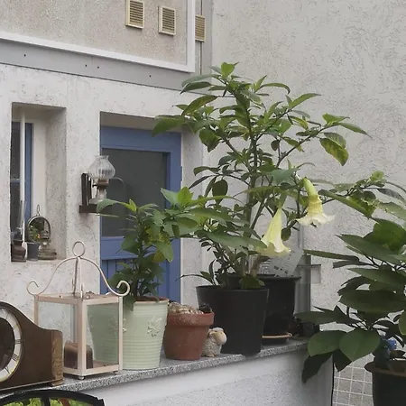 Apartment Gemütliche, Möblierte Einliegerwohnung Mit Eigenem Eingang In Hannover